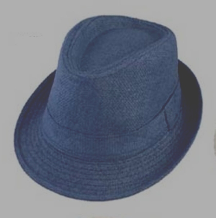 Boys Paper Straw Fedora - Blue