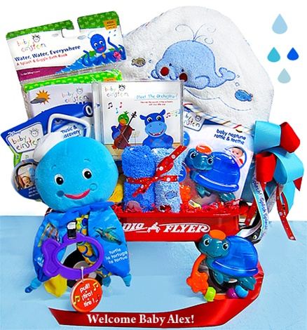 Baby Einstein Water Wagon