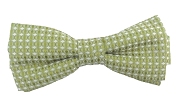 apple green bow tie