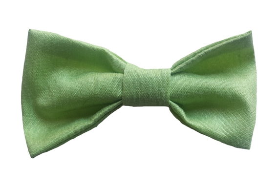 apple green baby silk bow tie
