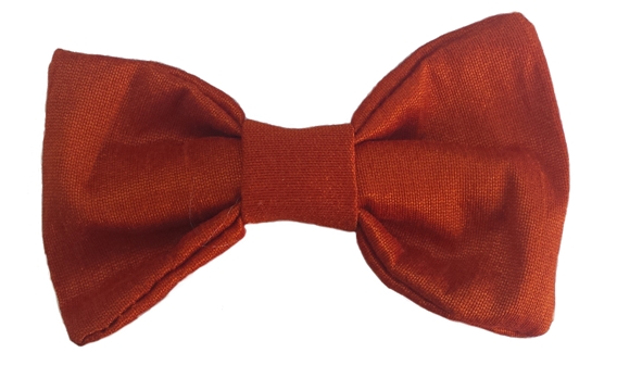 burnt orange baby silk bow tie