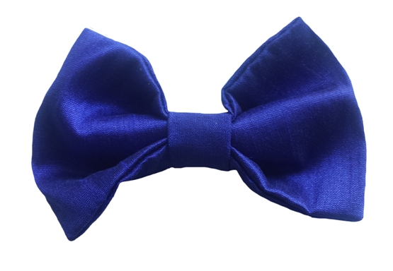 royal-blue baby silk bow tie