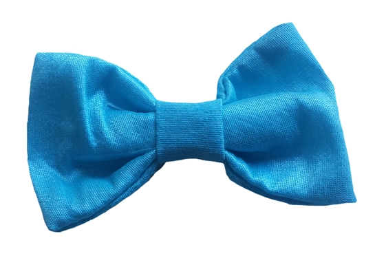turquoise baby silk bow tie