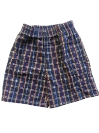 Tumbleweed Navy Plaid Seersucker Shorts