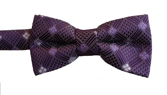 Microfiber Plum Patterned Boy's Bow Ties