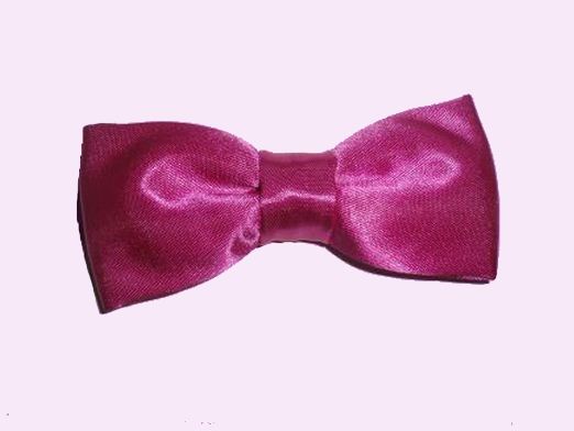 Boy's Satin Bow Ties / Bowties - Fuchsia