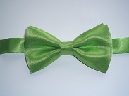 lime satin banded bow tie