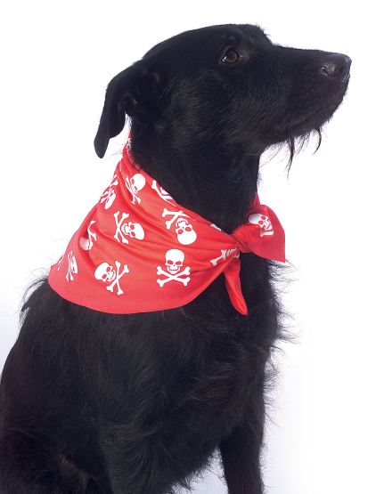 Pirate Skull Bandana Dog Costume