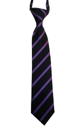 Purple & Black Striped Zipper Ties - 12 in.