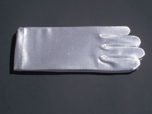 Silver Satin Gloves