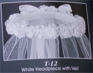 Tulle & Bow Communon Veil