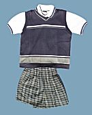 Collar Stripe Polo