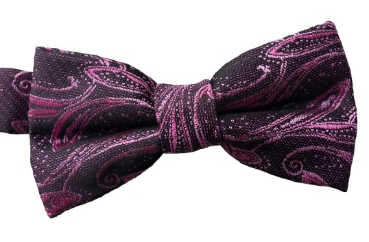 Microfiber Paisley Rose Patterned Boys Bow Ties