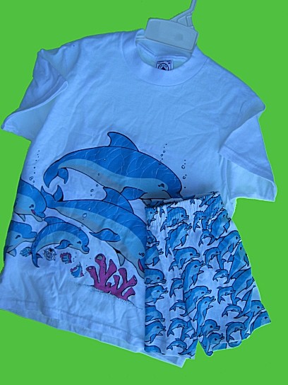Dolphin Tee and Matching Shorts Set