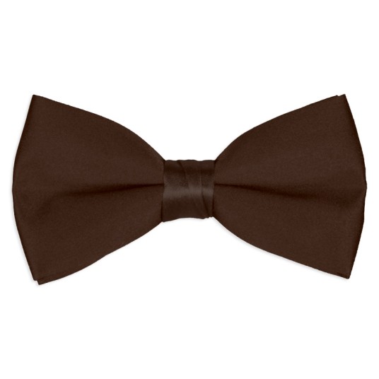 chocolate-brown satin bow tie