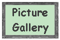 Picture Gallery!