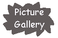 Picture Gallery!